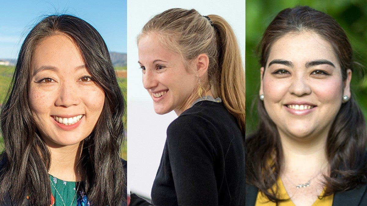 Collage of three new professors