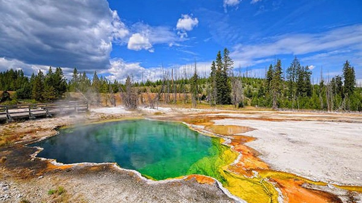 Yellowstone National Park. 