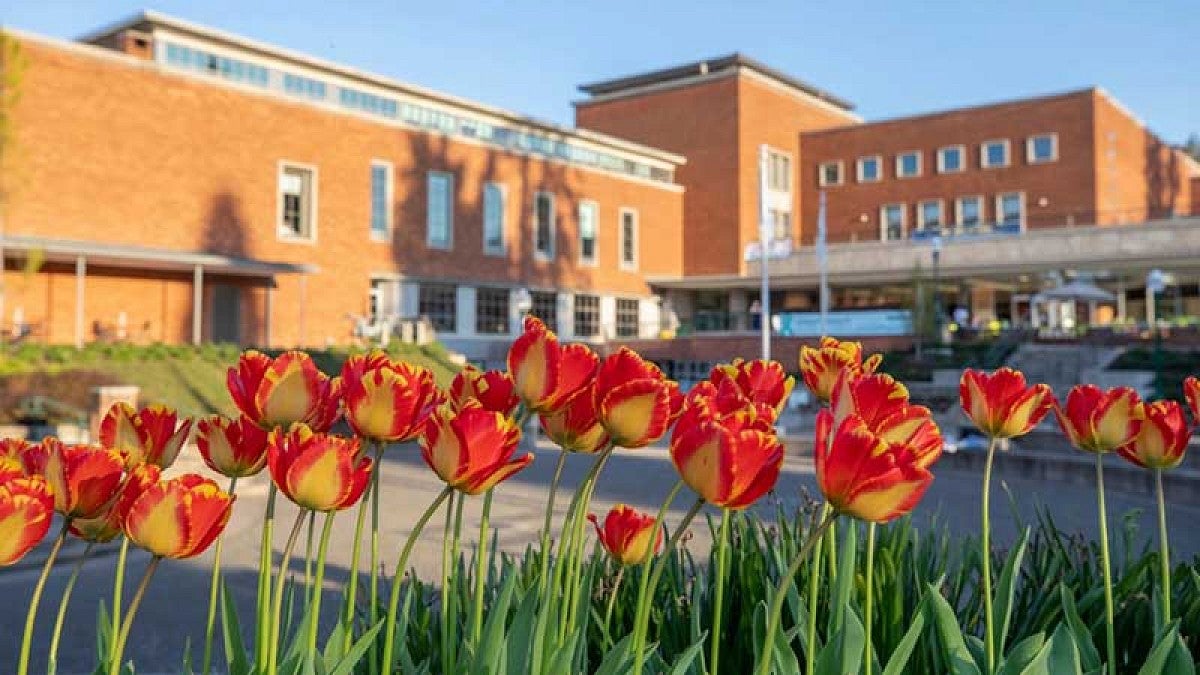 Tulips with EMU in background