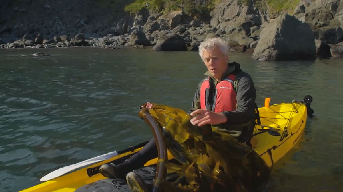 Jon Erlandson in kayak