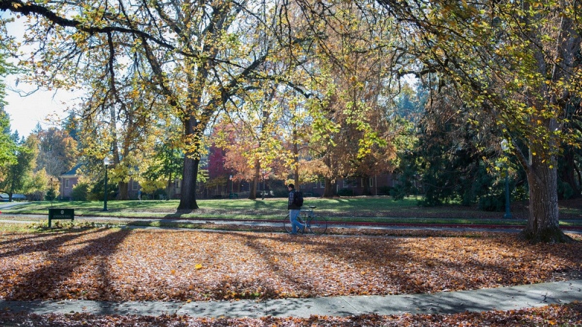 Fall scene