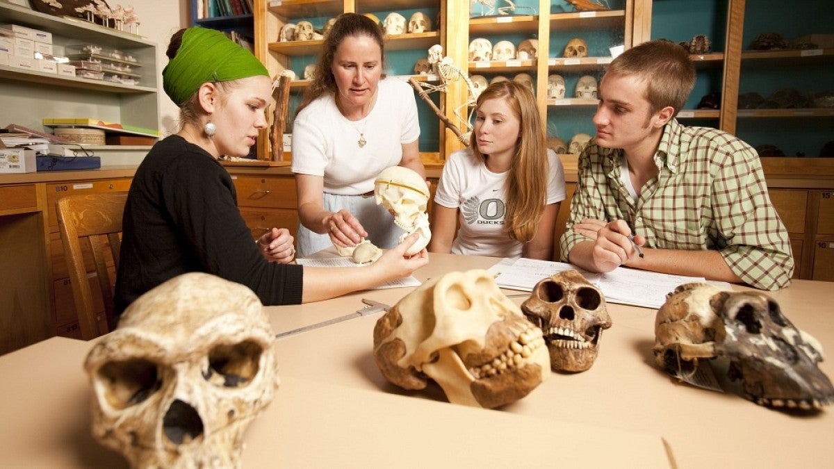 Professor and students with primate skulls