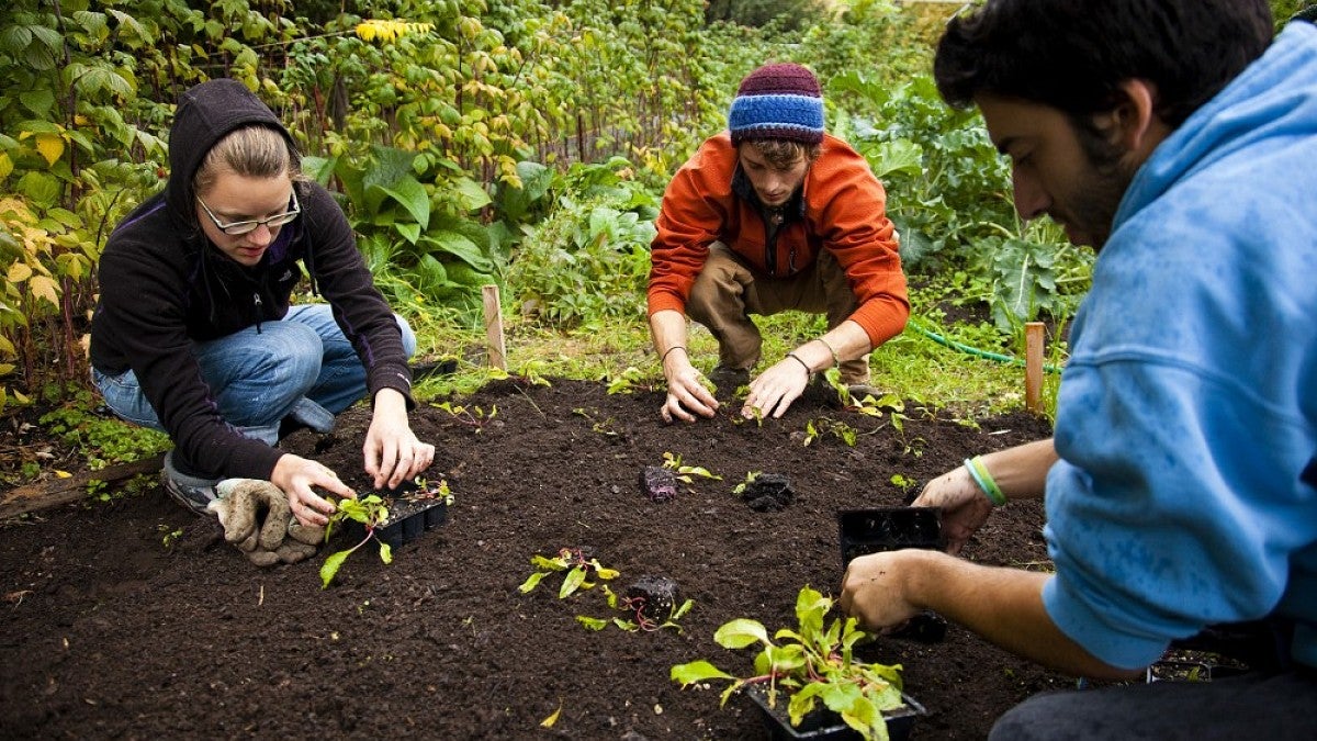 Several community garden projects will be part of Make a Difference Day