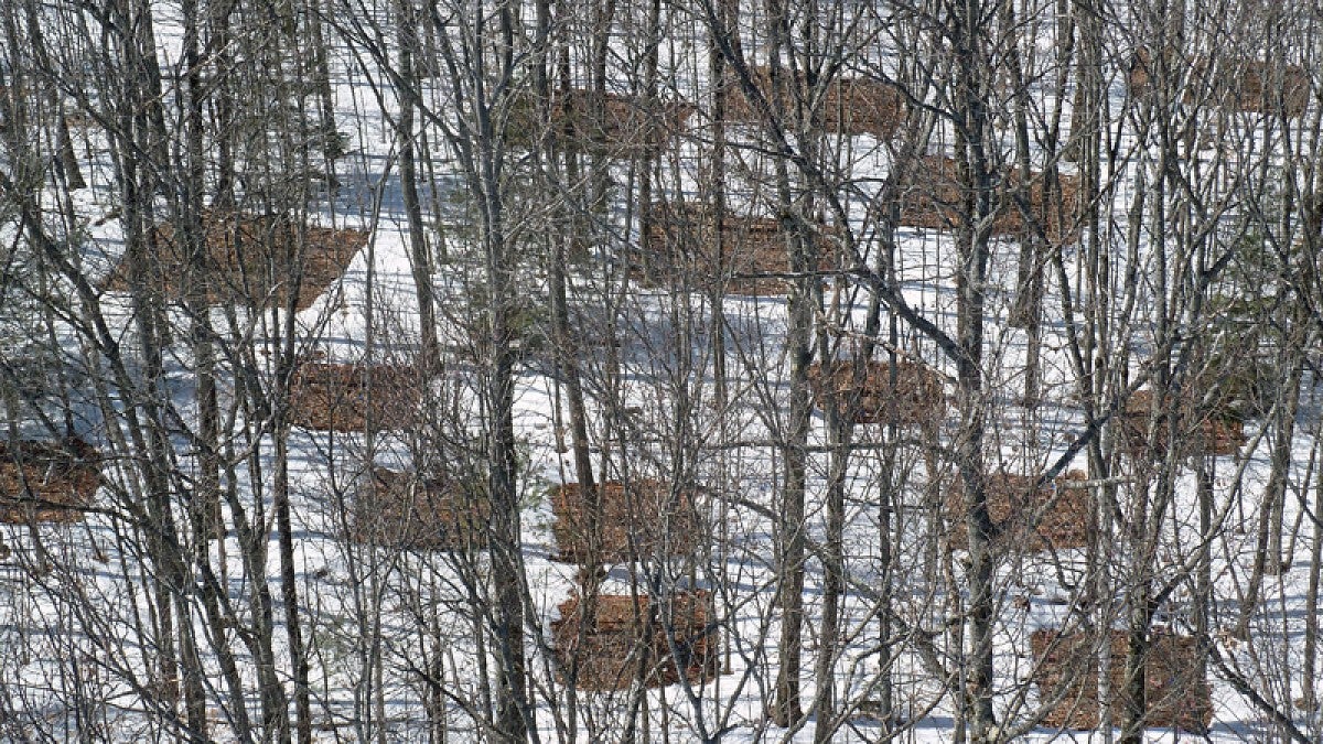 Photo shows experimental plots used at Harvard Forest in Massachusetts as part of the PNAS study