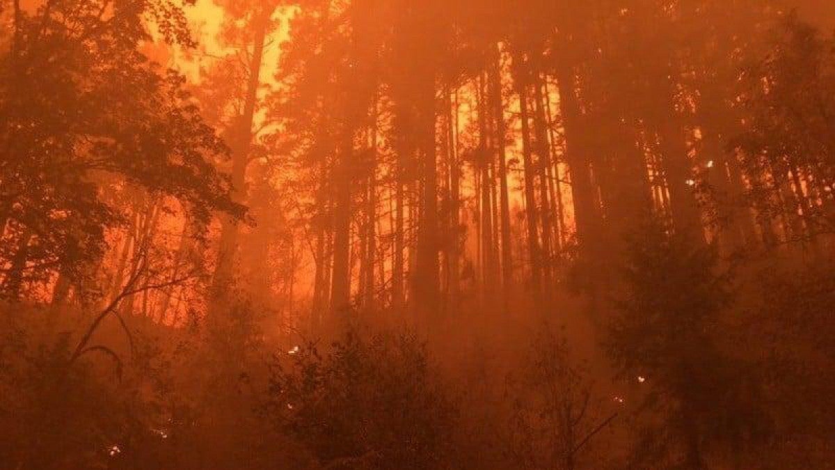 Holiday Farm Fire