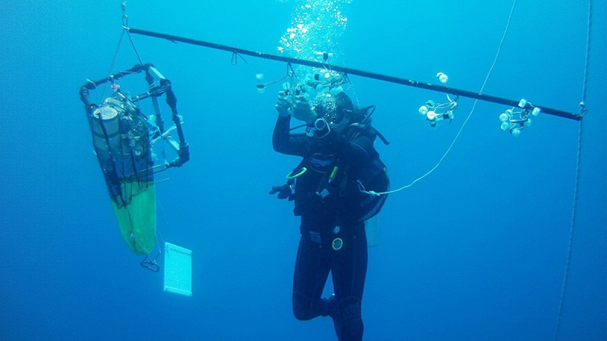 Keats Conley diving for tiny sea animals 