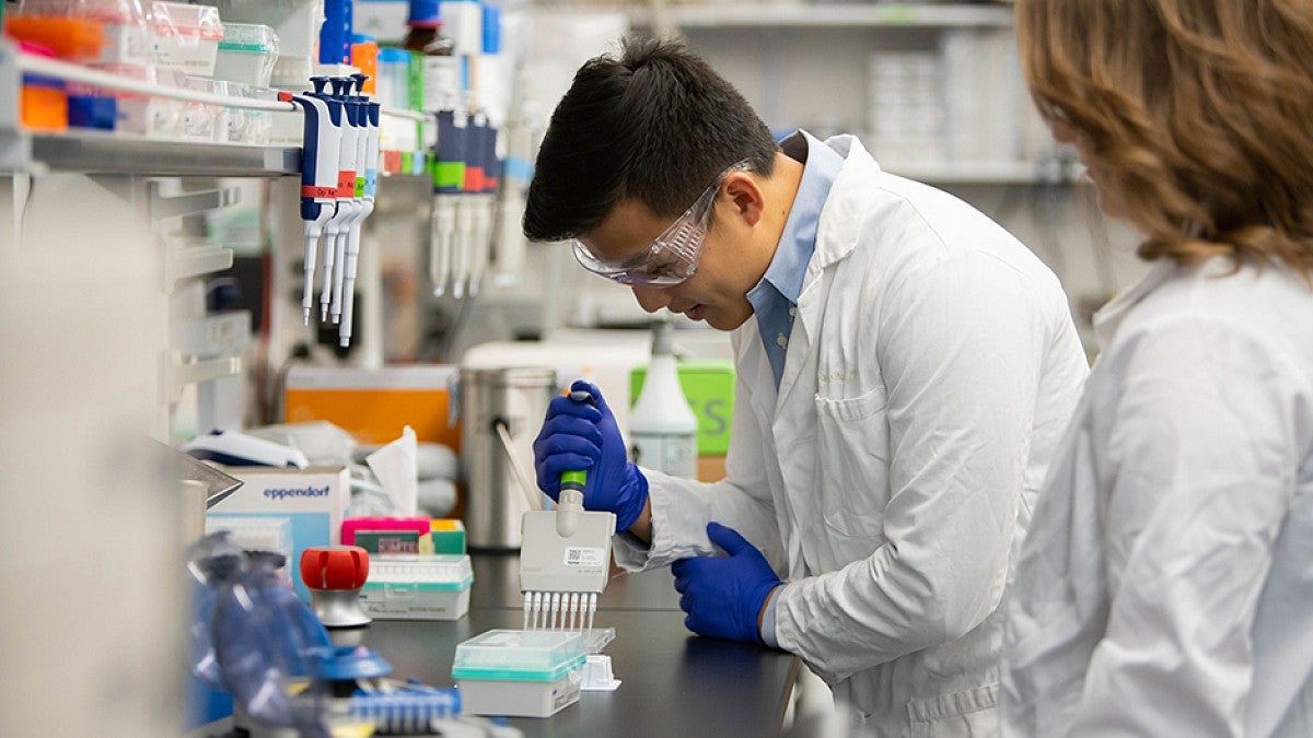 Researchers in lab