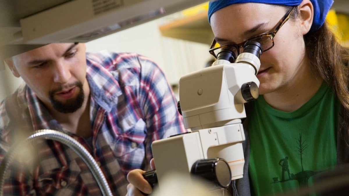 Student at microscope