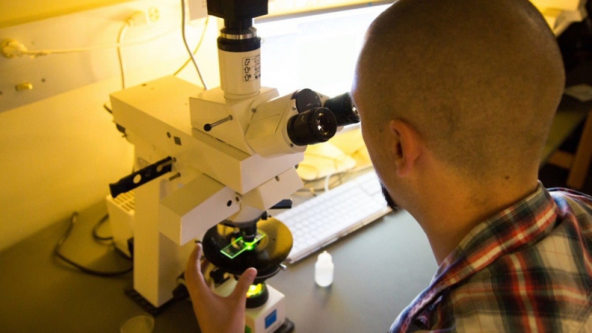 Student looking through microscope