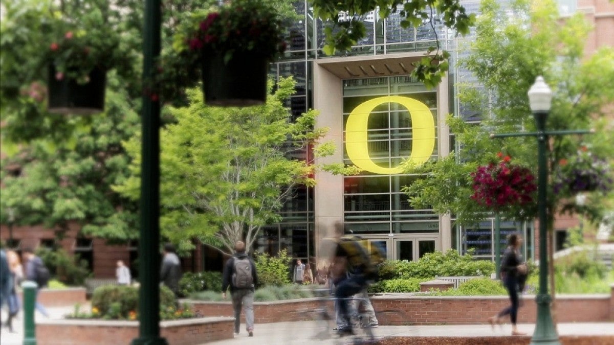 Lillis Hall exterior in summer