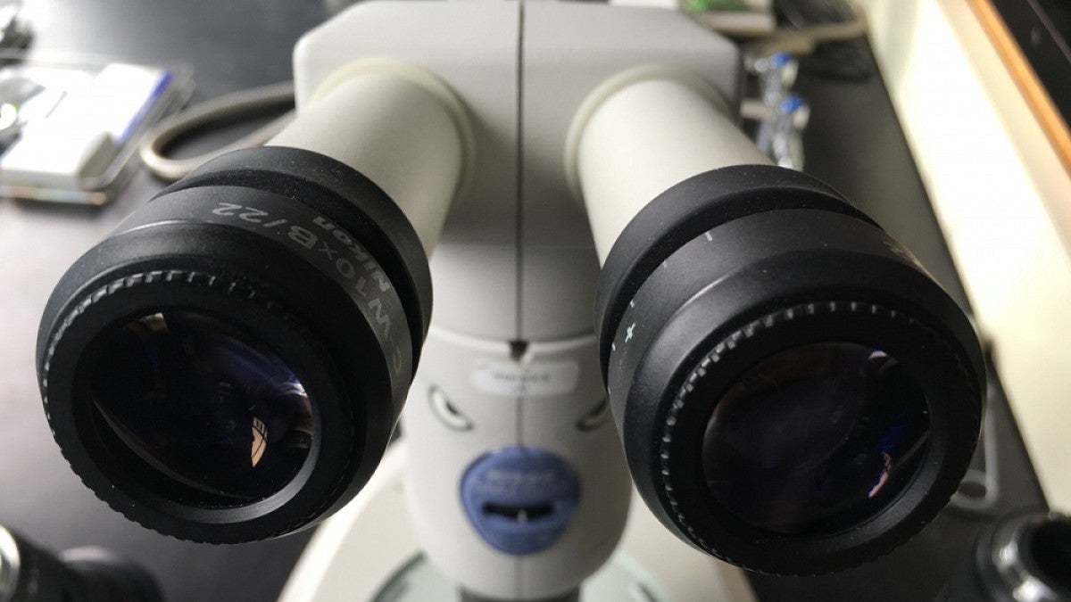 Microscope eyepieces