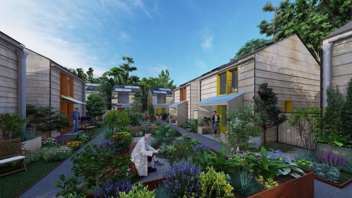 Illustration of prototype housing using mass timber