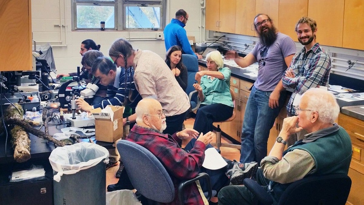 Clockwise from bottom right: George Carroll (UO), Jack Rogers (WSU), Bitty Roy (UO), Yu-Ming Ju (Academia Sinica, at microscope), Ron Hamill, Danny Newman, Josh Kielsmeier-Cook (Ph.D student at University of Minnesota, standing), Susie Holmes (Lane Commun