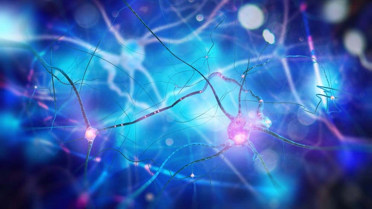 Illustration of neurons