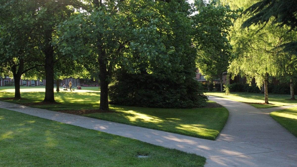 Campus walkways