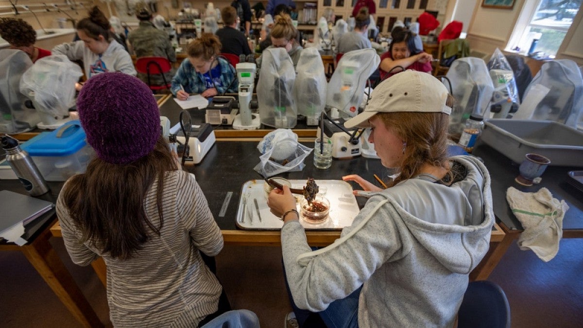 Students in a lab 