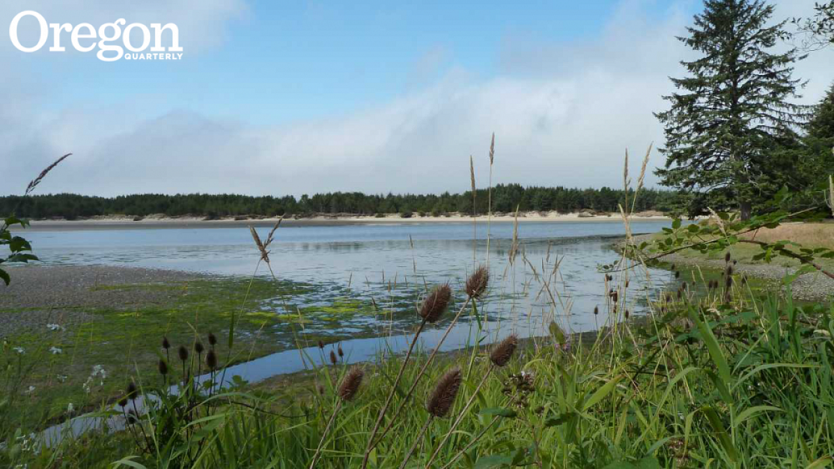 Salmon River estuary, north of Lincoln City. Photograph by Michael Strelow