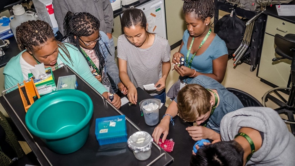 Students working on biology project