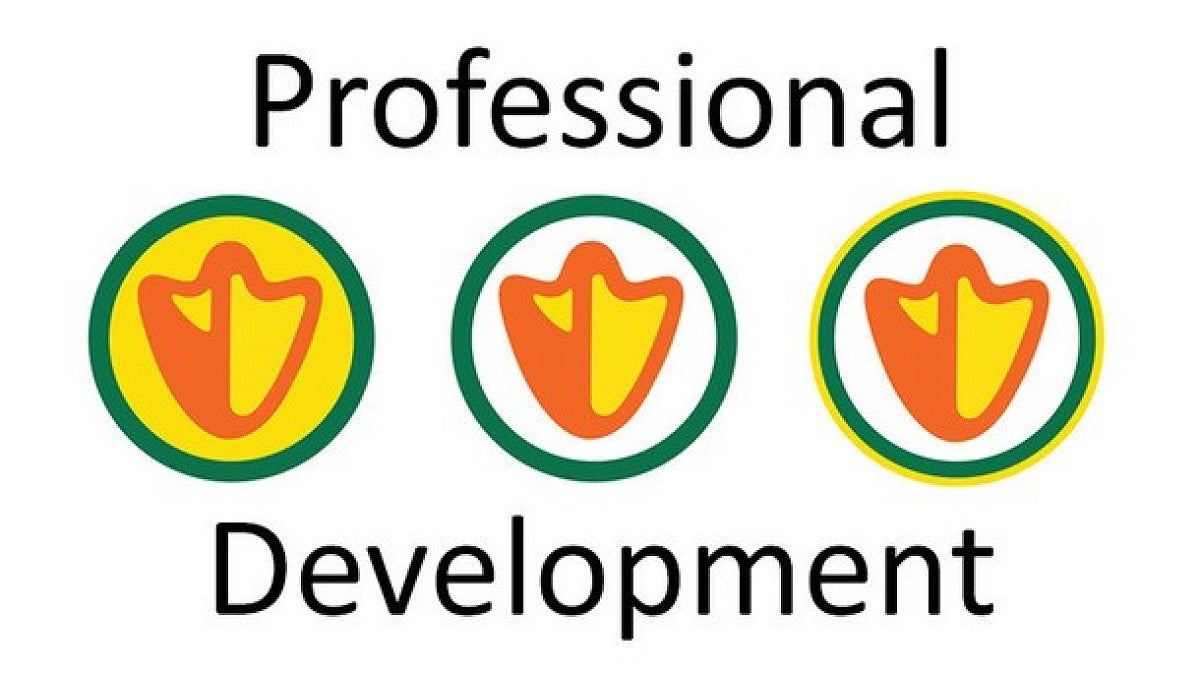 Professional development logo