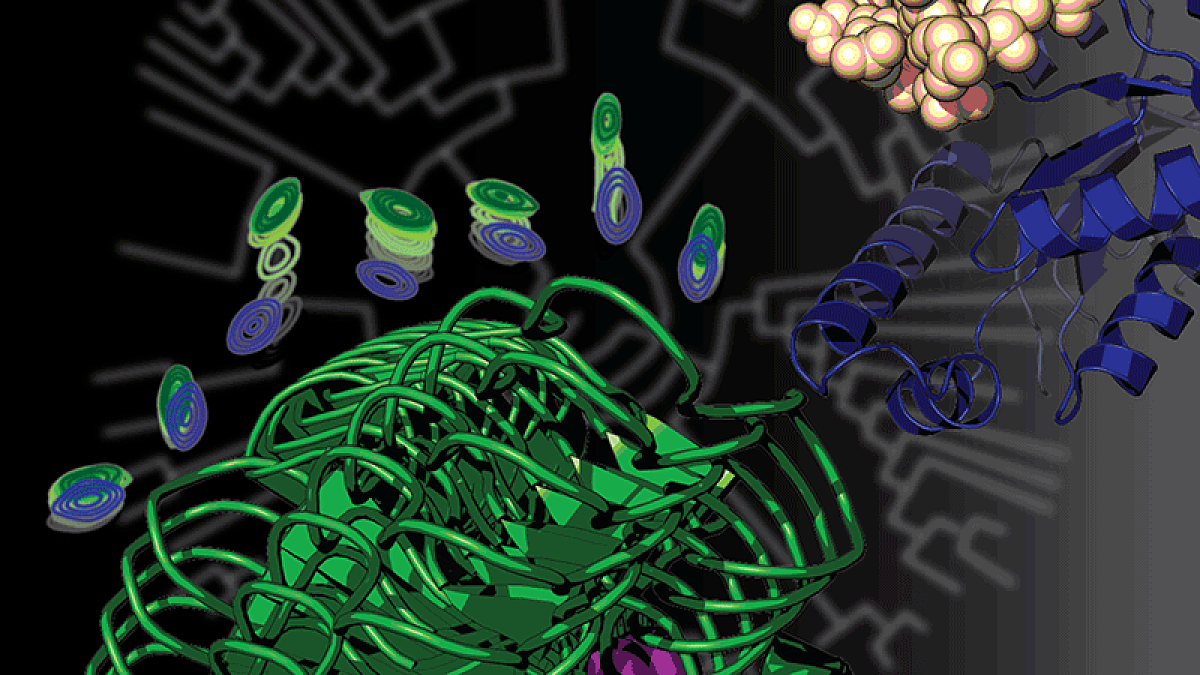 Artist rendition of protein evolution: Shown are an evolutionary tree and proteins affected by mutations