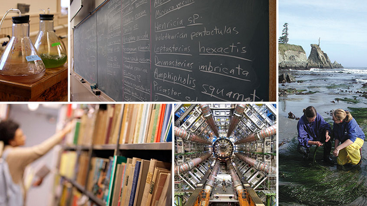 Collage of research photos