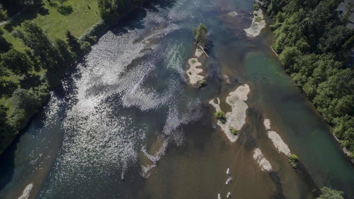 River seen from above