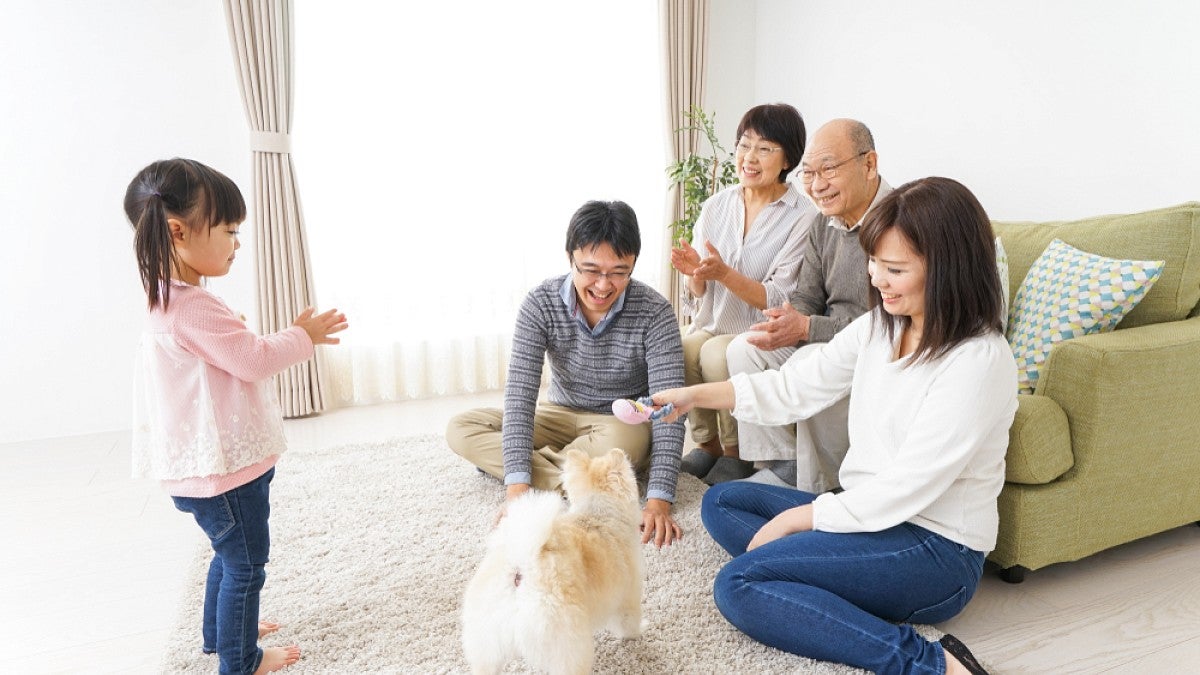 Stock image of multigenerational family