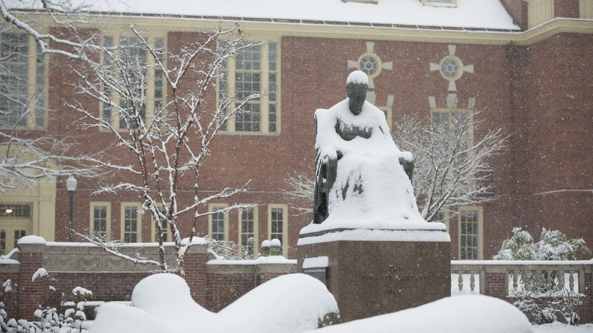 Snow scene