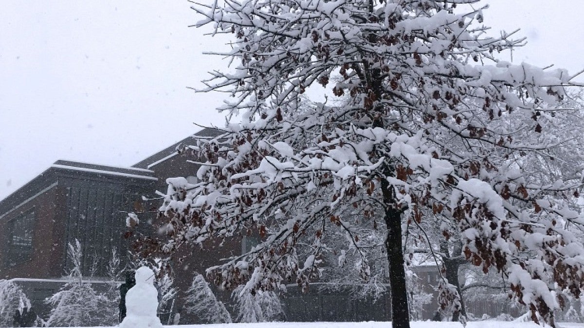 A person builds a snowman under a tree on campus 02.25.19