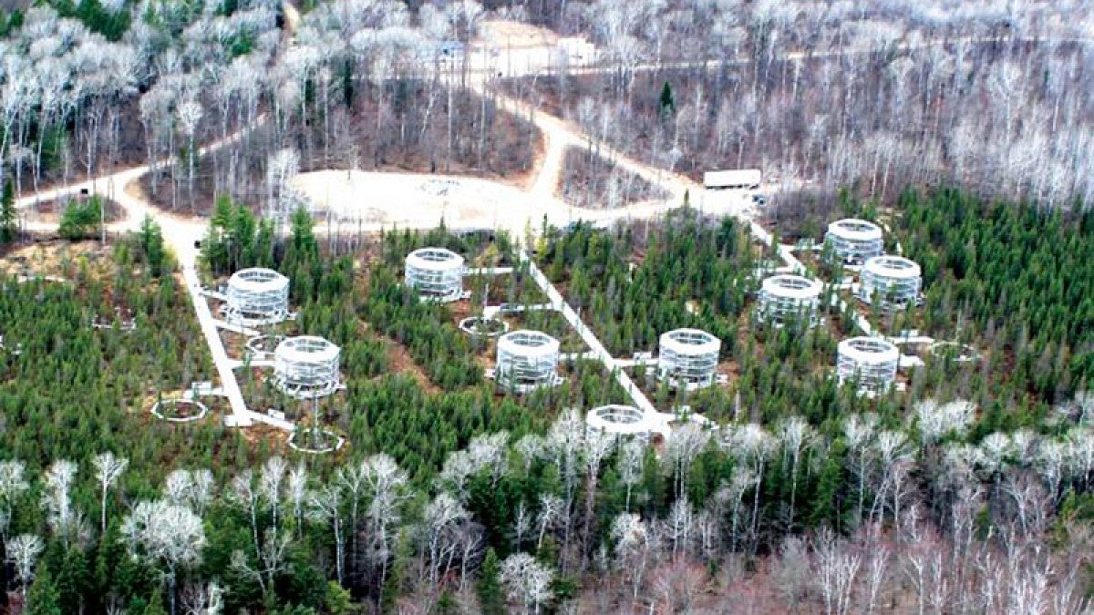 The SPRUCE study site