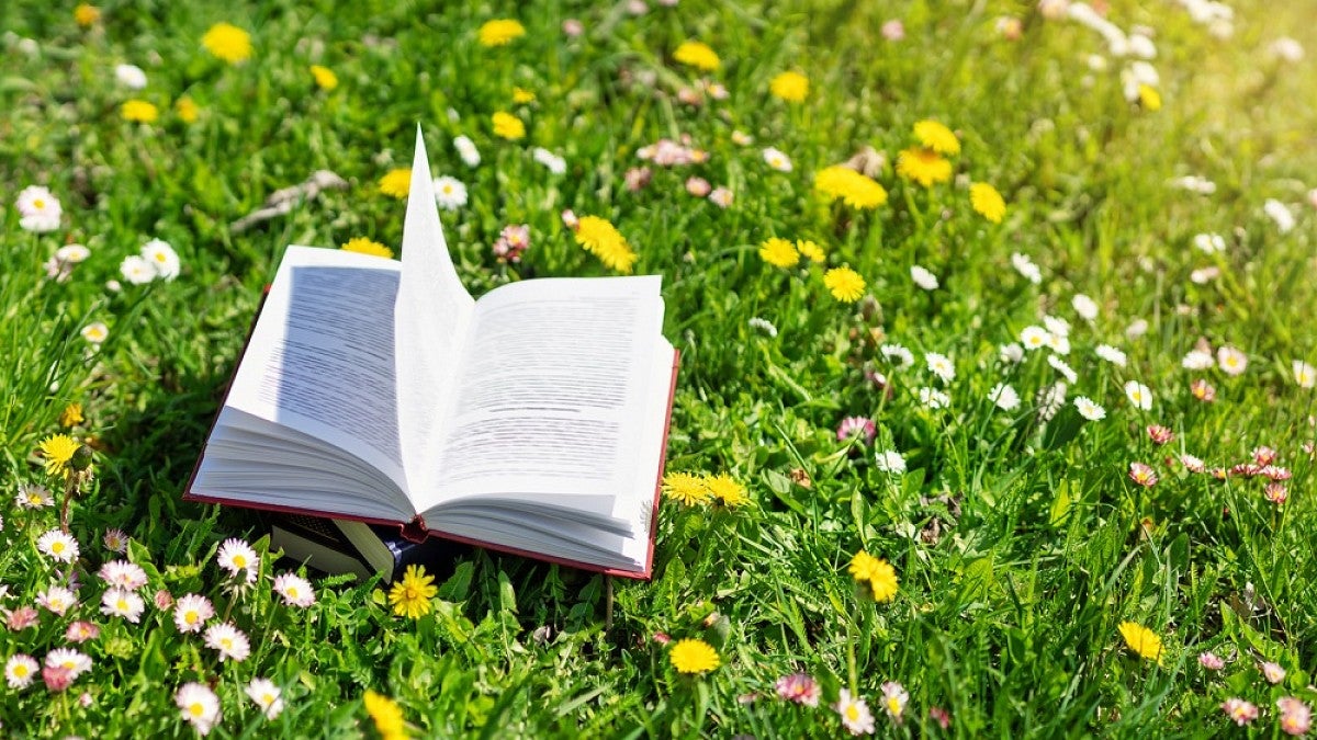 Open book in wildflower field