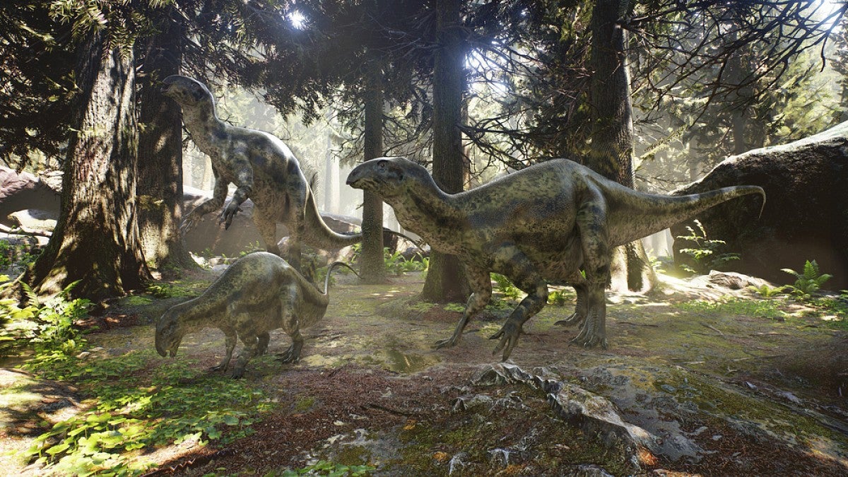 Dinosaurs in forest