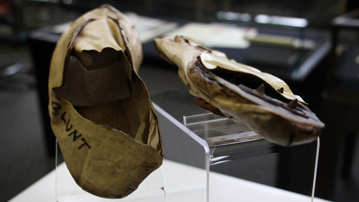 Handmade track shoes