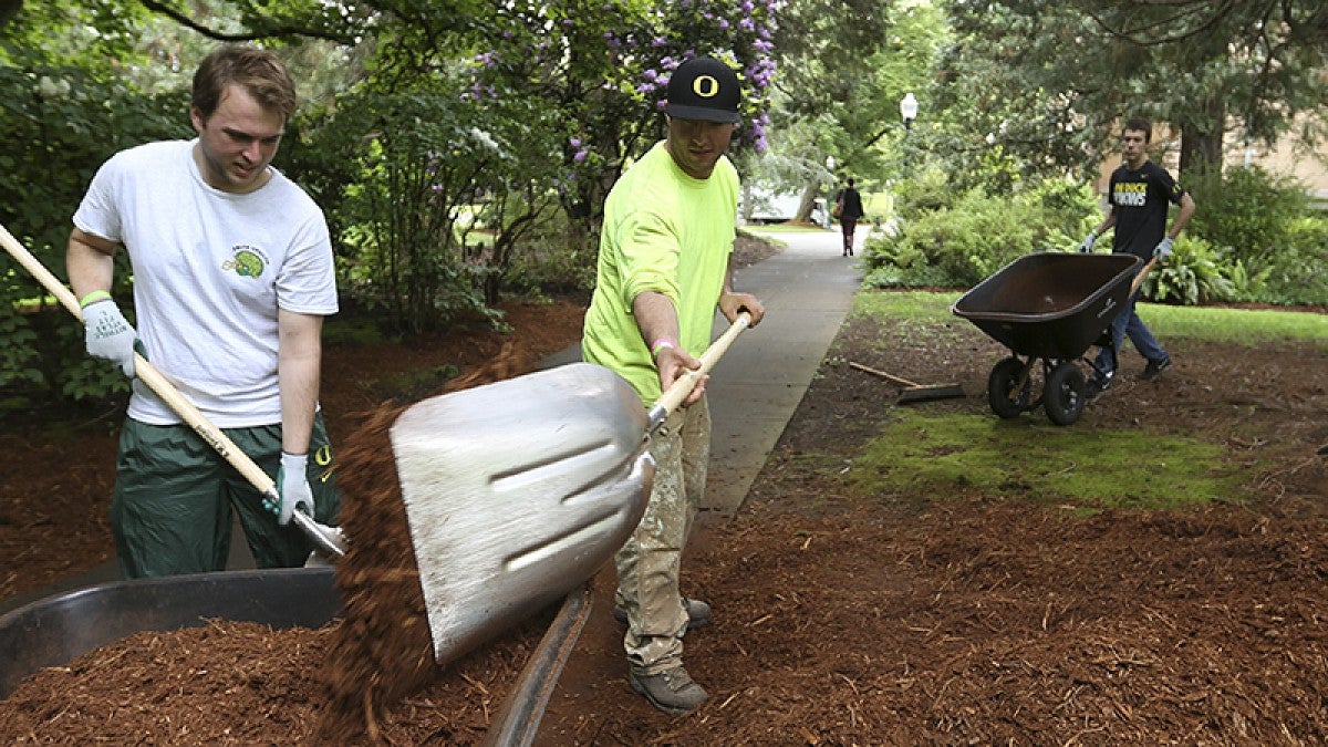 Students spreading barkdust on University Day