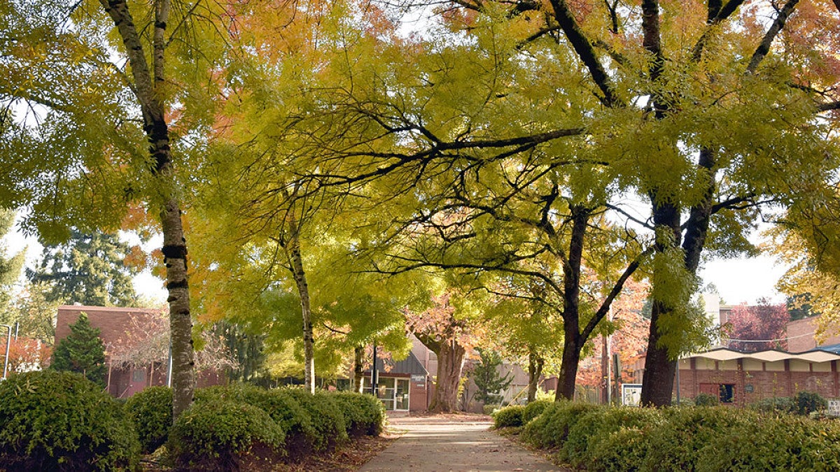 New UO Portland campus