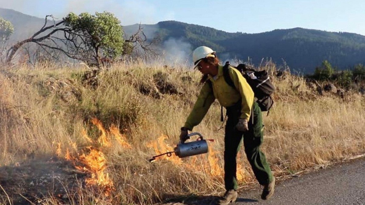 Lighting a prescribed fire