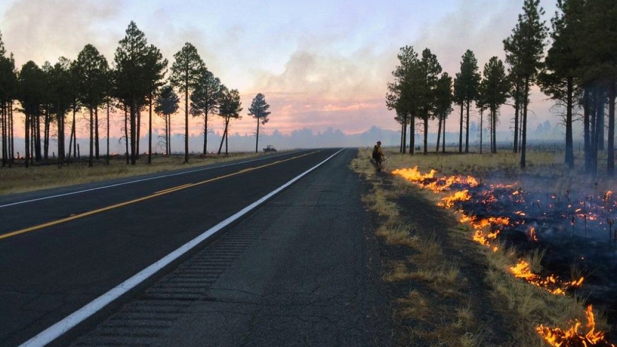 Prescribed burn in progress