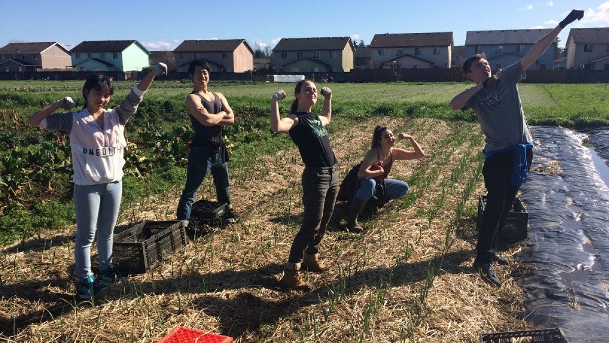 Students working at a farm