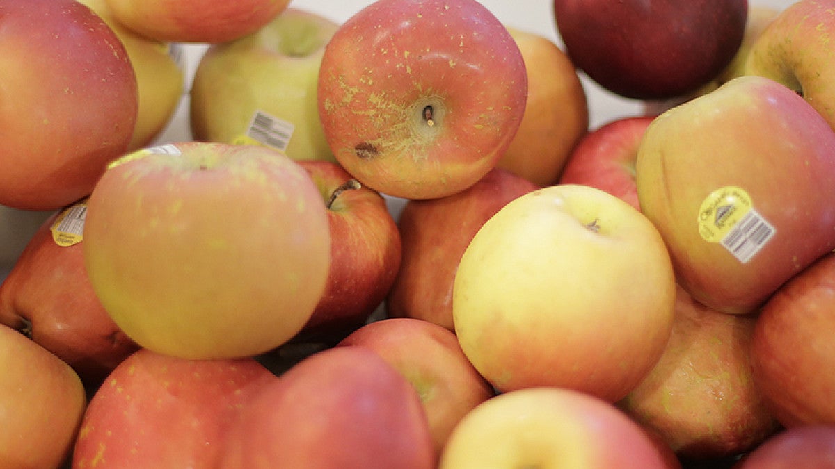 A bin full of apples