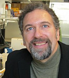 Brendan Bohannan, professor of biology and expert in microbes and our health