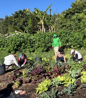 people gardening at a UO service project event