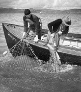 Salmon Fishing on the Columbia near Astoria by Ray Atkeson