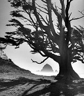 Haystack Rock, Cannon Beach photo by Ray Atkeson
