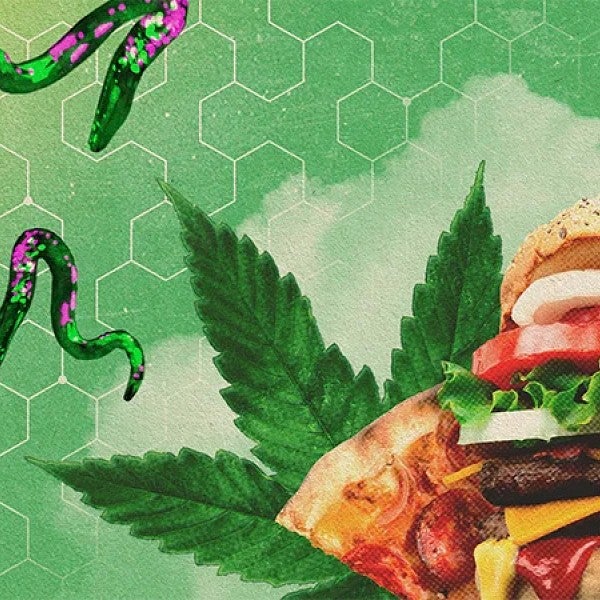 Illustration of worms and junk food by Griffin Torrey, University Communications