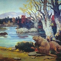 Giant beaver