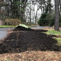 Compost spread on garden