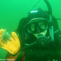 Susan Gravem holding baby sea star (Copyrighted photo by Aaron Galloway)