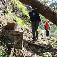 A trail in Oneonta Gorge