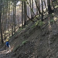 Burned area