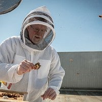 David Flock with queen bee